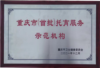荣誉资质